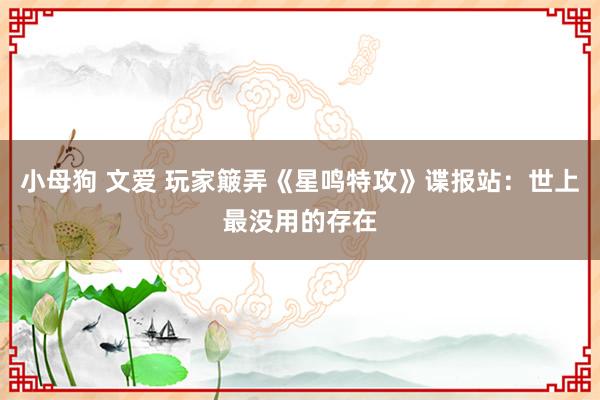 小母狗 文爱 玩家簸弄《星鸣特攻》谍报站：世上最没用的存在