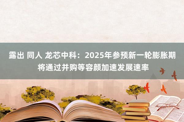 露出 同人 龙芯中科：2025年参预新一轮膨胀期 将通过并购等容颜加速发展速率