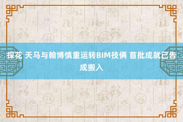 探花 天马与翰博慎重运转BIM技俩 首批成就已告成搬入