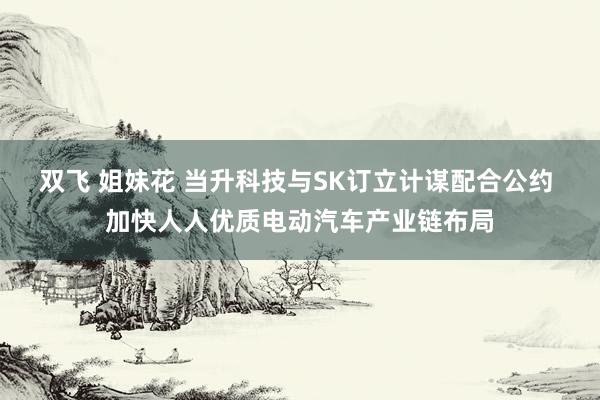 双飞 姐妹花 当升科技与SK订立计谋配合公约 加快人人优质电动汽车产业链布局