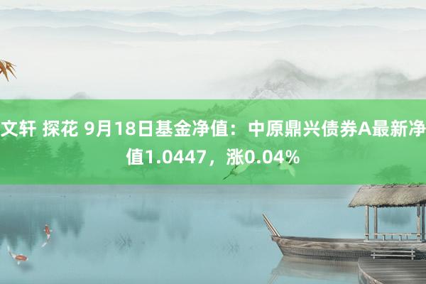 文轩 探花 9月18日基金净值：中原鼎兴债券A最新净值1.0447，涨0.04%