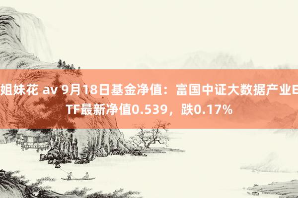 姐妹花 av 9月18日基金净值：富国中证大数据产业ETF最新净值0.539，跌0.17%