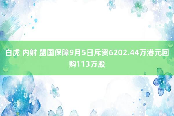 白虎 内射 盟国保障9月5日斥资6202.44万港元回购113万股