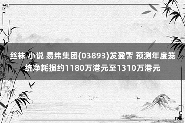 丝袜 小说 易纬集团(03893)发盈警 预测年度笼统净耗损约1180万港元至1310万港元