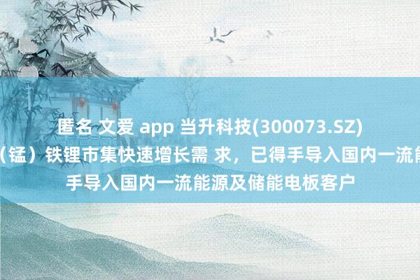 匿名 文爱 app 当升科技(300073.SZ)：积极把合手磷酸（锰）铁锂市集快速增长需 求，已得手导入国内一流能源及储能电板客户