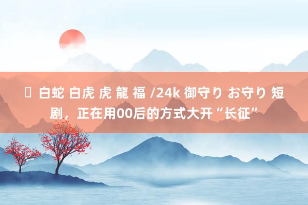 ✨白蛇 白虎 虎 龍 福 /24k 御守り お守り 短剧，正在用00后的方式大开“长征”