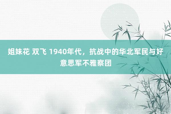 姐妹花 双飞 1940年代，抗战中的华北军民与好意思军不雅察团