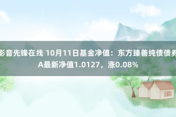 影音先锋在线 10月11日基金净值：东方臻善纯债债券A最新净值1.0127，涨0.08%