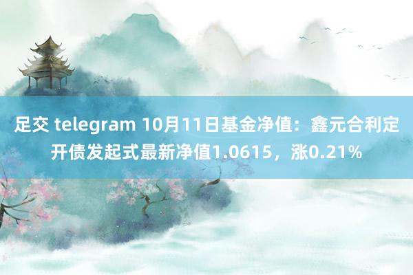 足交 telegram 10月11日基金净值：鑫元合利定开债发起式最新净值1.0615，涨0.21%