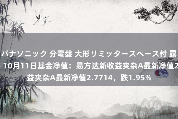 パナソニック 分電盤 大形リミッタースペース付 露出・半埋込両用形 10月11日基金净值：易方达新收益夹杂A最新净值2.7714，跌1.95%