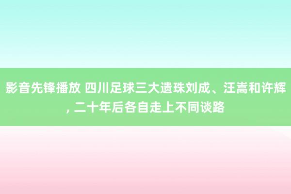 影音先锋播放 四川足球三大遗珠刘成、汪嵩和许辉， 二十年后各自走上不同谈路