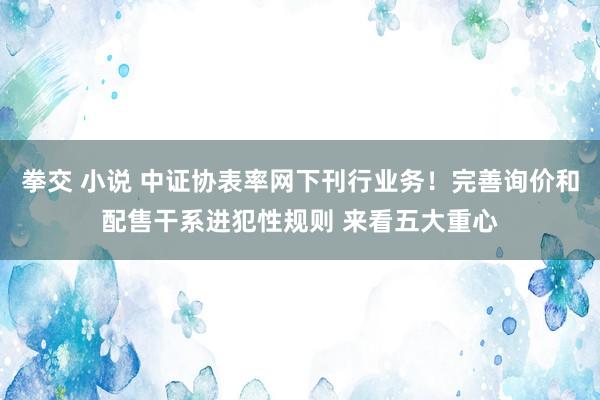 拳交 小说 中证协表率网下刊行业务！完善询价和配售干系进犯性规则 来看五大重心