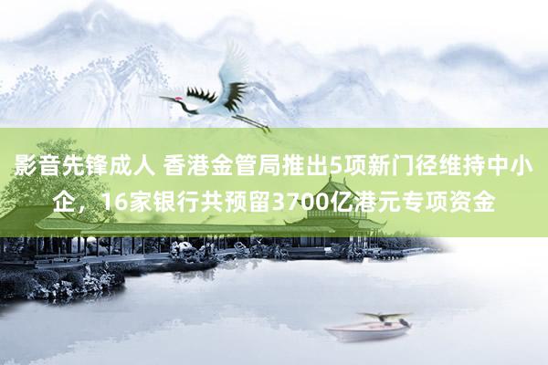 影音先锋成人 香港金管局推出5项新门径维持中小企，16家银行共预留3700亿港元专项资金