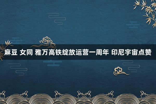 麻豆 女同 雅万高铁绽放运营一周年 印尼宇宙点赞