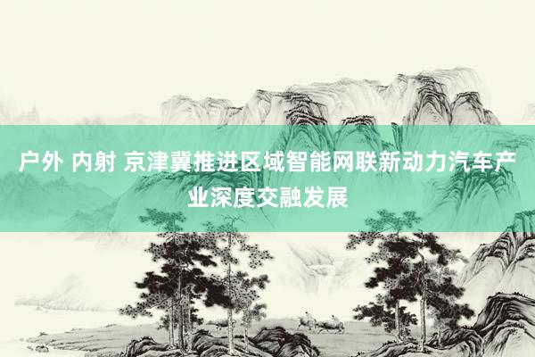 户外 内射 京津冀推进区域智能网联新动力汽车产业深度交融发展