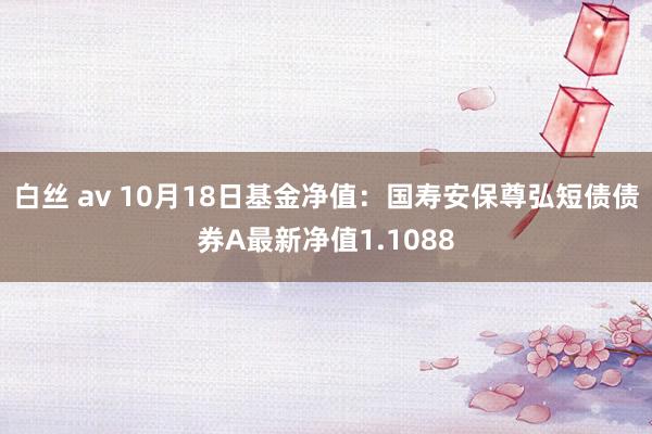 白丝 av 10月18日基金净值：国寿安保尊弘短债债券A最新净值1.1088