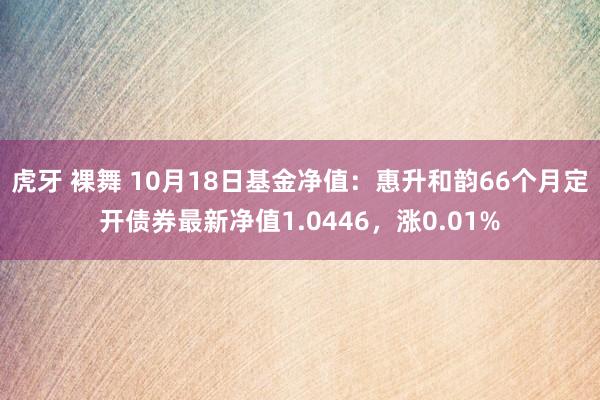 虎牙 裸舞 10月18日基金净值：惠升和韵66个月定开债券最新净值1.0446，涨0.01%