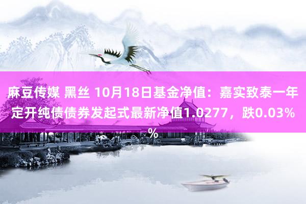 麻豆传媒 黑丝 10月18日基金净值：嘉实致泰一年定开纯债债券发起式最新净值1.0277，跌0.03%