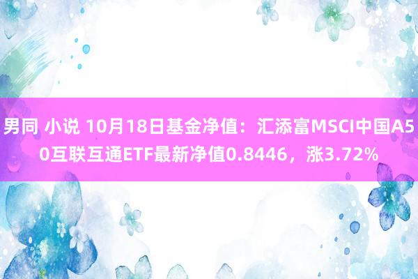 男同 小说 10月18日基金净值：汇添富MSCI中国A50互联互通ETF最新净值0.8446，涨3.72%