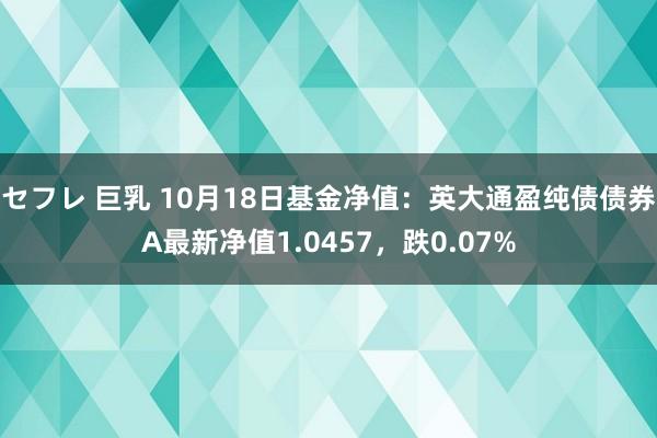 セフレ 巨乳 10月18日基金净值：英大通盈纯债债券A最新净值1.0457，跌0.07%