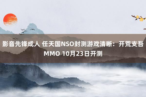 影音先锋成人 任天国NSO封测游戏清晰：开荒支吾MMO 10月23日开测