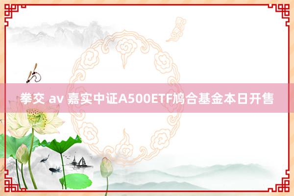 拳交 av 嘉实中证A500ETF鸠合基金本日开售