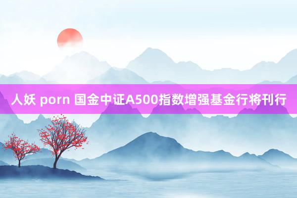 人妖 porn 国金中证A500指数增强基金行将刊行