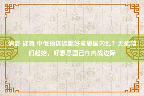 清野 裸舞 中俄预谋掀翻好意思国内乱？无须咱们起始，好意思国已在内战边际