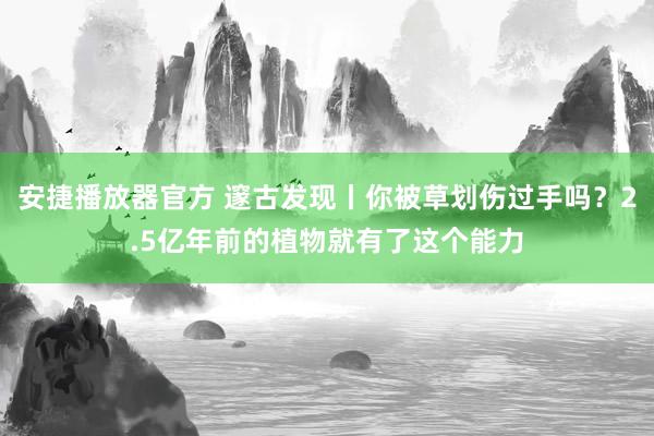 安捷播放器官方 邃古发现丨你被草划伤过手吗？2.5亿年前的植物就有了这个能力