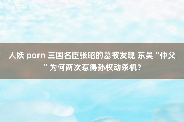 人妖 porn 三国名臣张昭的墓被发现 东吴“仲父”为何两次惹得孙权动杀机？