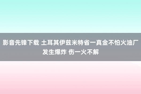 影音先锋下载 土耳其伊兹米特省一真金不怕火油厂发生爆炸 伤一火不解