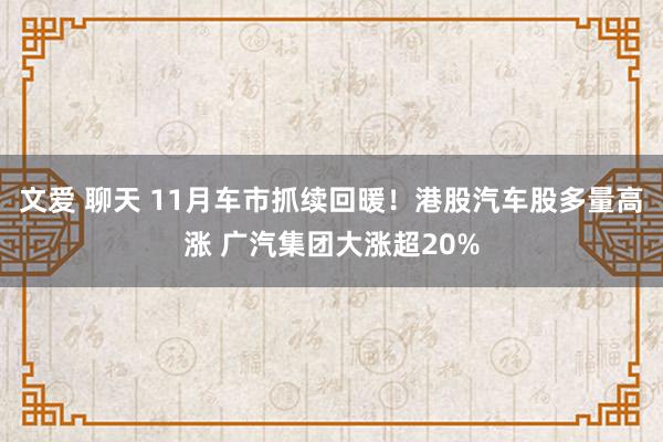 文爱 聊天 11月车市抓续回暖！港股汽车股多量高涨 广汽集团大涨超20%