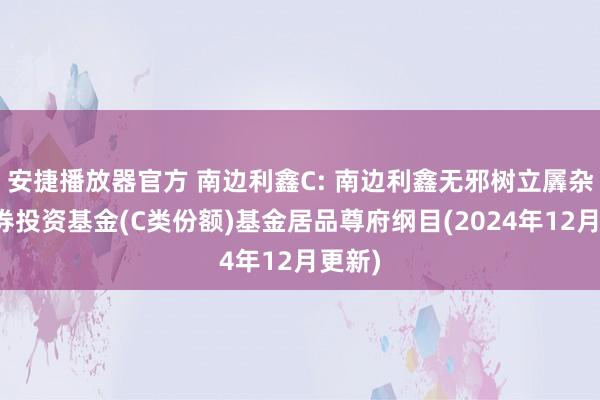 安捷播放器官方 南边利鑫C: 南边利鑫无邪树立羼杂型证券投资基金(C类份额)基金居品尊府纲目(2024年12月更新)