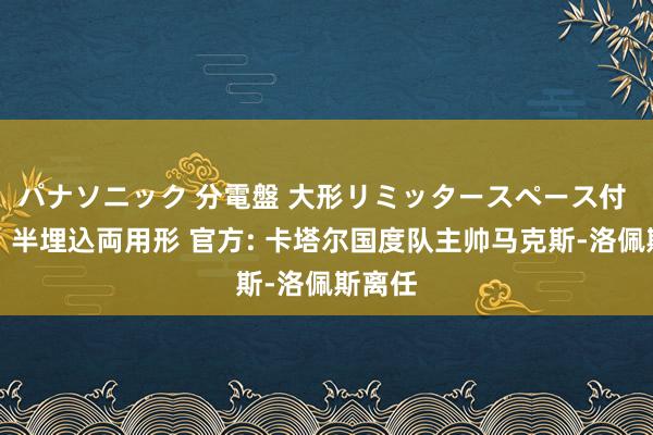 パナソニック 分電盤 大形リミッタースペース付 露出・半埋込両用形 官方: 卡塔尔国度队主帅马克斯-洛佩斯离任