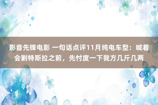 影音先锋电影 一句话点评11月纯电车型：喊着会剿特斯拉之前，先忖度一下我方几斤几两