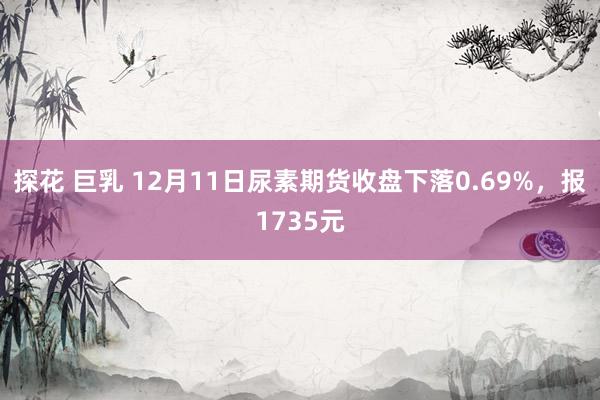 探花 巨乳 12月11日尿素期货收盘下落0.69%，报1735元