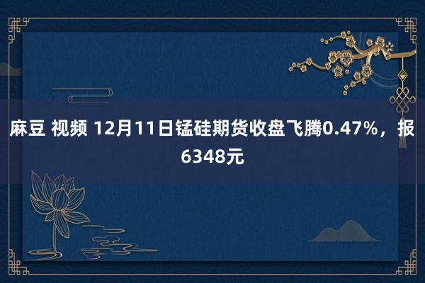 麻豆 视频 12月11日锰硅期货收盘飞腾0.47%，报6348元