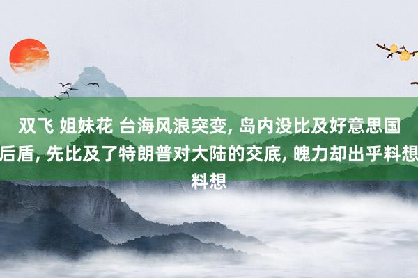 双飞 姐妹花 台海风浪突变， 岛内没比及好意思国后盾， 先比及了特朗普对大陆的交底， 魄力却出乎料想