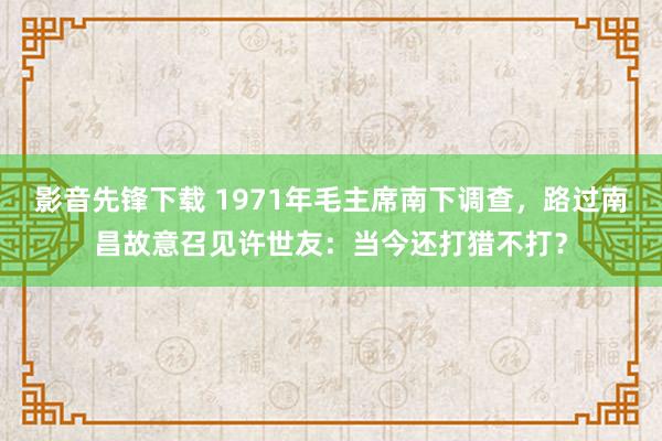 影音先锋下载 1971年毛主席南下调查，路过南昌故意召见许世友：当今还打猎不打？