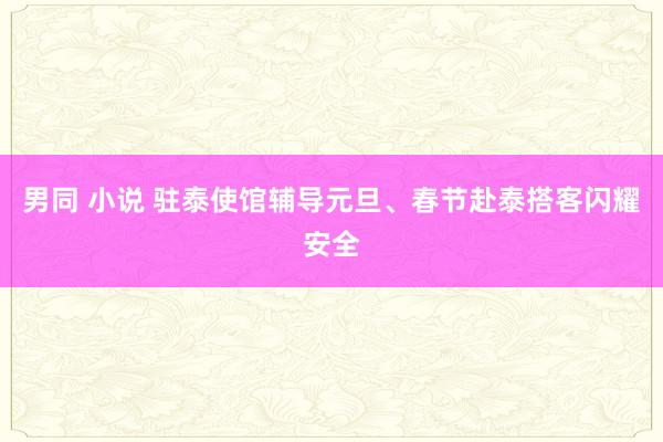 男同 小说 驻泰使馆辅导元旦、春节赴泰搭客闪耀安全