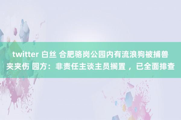 twitter 白丝 合肥骆岗公园内有流浪狗被捕兽夹夹伤 园方：非责任主谈主员搁置 ，已全面排查