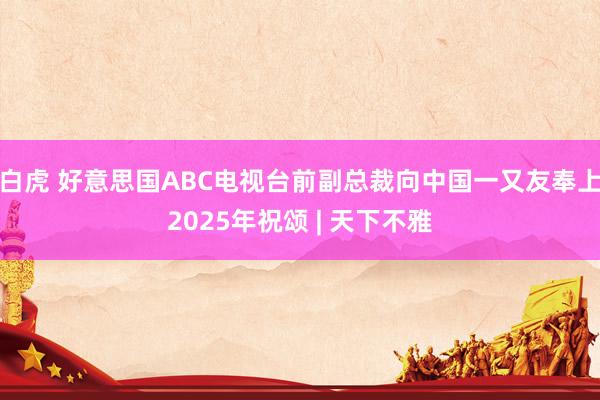 白虎 好意思国ABC电视台前副总裁向中国一又友奉上2025年祝颂 | 天下不雅