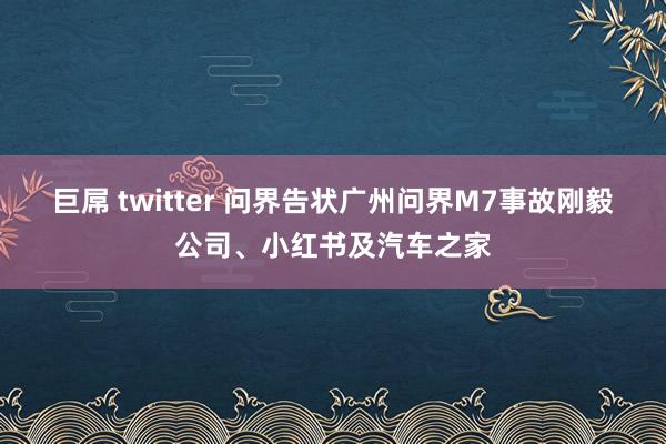 巨屌 twitter 问界告状广州问界M7事故刚毅公司、小红书及汽车之家