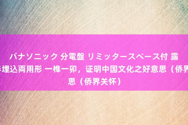 パナソニック 分電盤 リミッタースペース付 露出・半埋込両用形 一榫一卯，证明中国文化之好意思（侨界关怀）