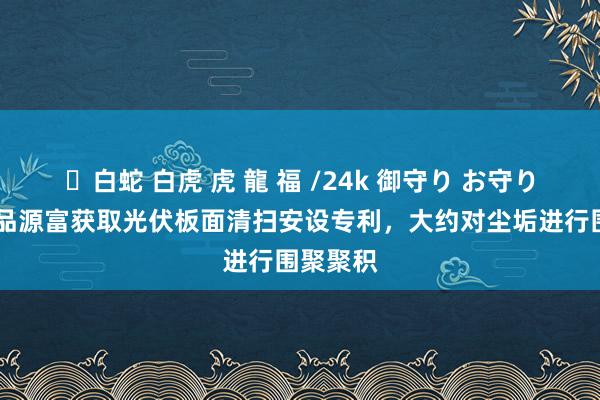 ✨白蛇 白虎 虎 龍 福 /24k 御守り お守り 成皆日品源富获取光伏板面清扫安设专利，大约对尘垢进行围聚聚积