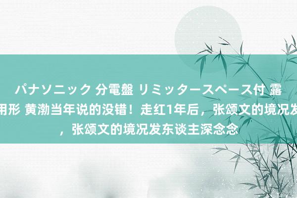 パナソニック 分電盤 リミッタースペース付 露出・半埋込両用形 黄渤当年说的没错！走红1年后，张颂文的境况发东谈主深念念