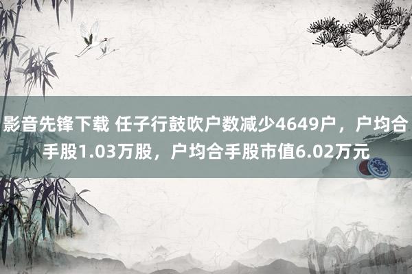 影音先锋下载 任子行鼓吹户数减少4649户，户均合手股1.03万股，户均合手股市值6.02万元