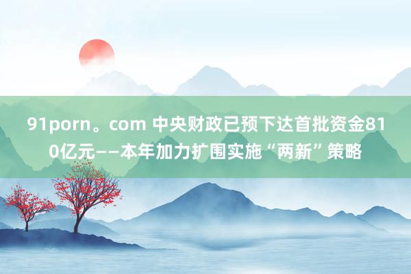 91porn。com 中央财政已预下达首批资金810亿元——本年加力扩围实施“两新”策略