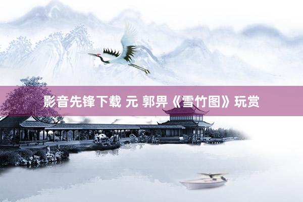 影音先锋下载 元 郭畀《雪竹图》玩赏