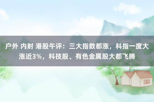 户外 内射 港股午评：三大指数都涨，科指一度大涨近3%，科技股、有色金属股大都飞腾